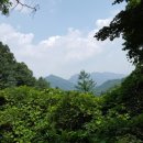 녹색 태양광발전소 이미지