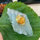 강창호물회대어횟집