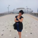 엑스포박람회장 이미지