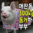 에스더 네이버블로그