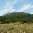 포항종합상사 이미지