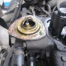 애니카랜드 화원점 이미지