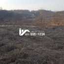 송재행정사 이미지