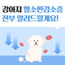 풍동 동물병원 이미지