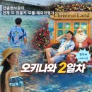 오키나와 자유여행 2일차(1), 북부 일일투어 후기｜만좌모·코우리대교·비세 후쿠기 가로수길 🌴