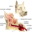 광제약국 이미지
