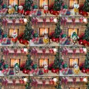 슈라즈하우스 이미지