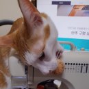 메디하임 이미지