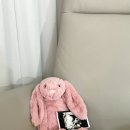 준영파파네 이미지