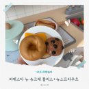 카페스프라우츠 | 피에스타 우드 주방놀이 뉴 슈크레 플러스+뉴스프라우츠 음식 소품 세트 조합(내돈내산)