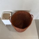 알리스테이 이미지