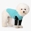 민트파파