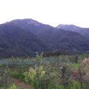 신세기공인중개사사무소 이미지