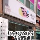 담녹 이미지