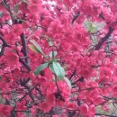 새벌농장 이미지