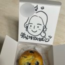 데이코지(Daycozy)