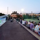 청소년수련관 앞 가로수 이미지