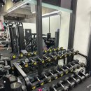 노익스짐 이미지