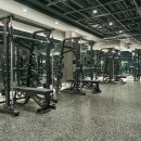 동도센트리움스크린골프 | 원당헬스장 제대로 찾았다｜무브짐24시헬스PT화정점 솔직 찐 후기