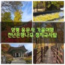국사길 | (경기 양평)🍁 양평 용문사 가을여행｜천년 은행나무와 관음전 금동관음보살좌상, 단풍길 정지국사 부도탑 🍁