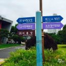 시민운동장 실내빙상장 이미지