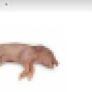 서울시 야생동물 구조관리센터 이미지