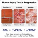 아나파한의원 이미지