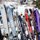 Green Colo 이미지