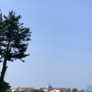 우도봉 | [제주] 제주도 우도 소머리오름, 우도봉 후기