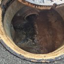 홍남초등학교 이미지