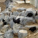 (주)지산농원 이미지