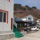 사금어촌계 네이버블로그