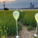 신반포역 1번출구 앞 이미지