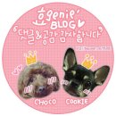 그녀의 피트니스 디얼핏 범계점 | 범계 PT샵 디얼핏 5주차 열운중♡