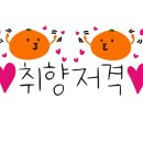 전가복&서태후 이미지