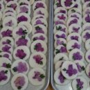 큰빛자연생태유치원 이미지