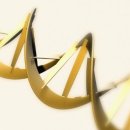 ﻿5 cool things DNA testing can do 이미지
