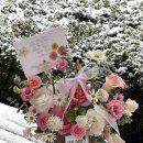 무무플라워 이미지