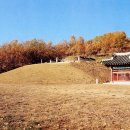 신라상사 이미지