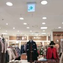 평촌BCBG