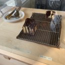 엘씨씨에스 이미지