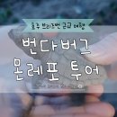 브리즈번 근교 여행 번다버그 몬레포 투어 예약 및 바다거북이 해칭