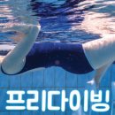 프리다이빙 스쿠버다이빙 교육 자격증과정!!