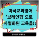 브레인팝 이미지
