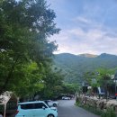 캠프더 포레 | 양산 캠프포레 글램핑장 후기 부산근교 계곡, 수영장까지 있는 가족여행지 추천