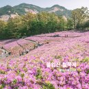 불암산한의원 네이버블로그