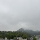 비앤와이투어 - 제주시 도령로 40 | 비앤와이투어