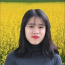 보생제 이미지