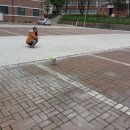 함양고등학교 기숙사 이미지