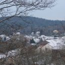 Tree of im 이미지